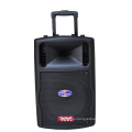 Active Speakers/PA Speaker/Plastic Speaker Box (F78)